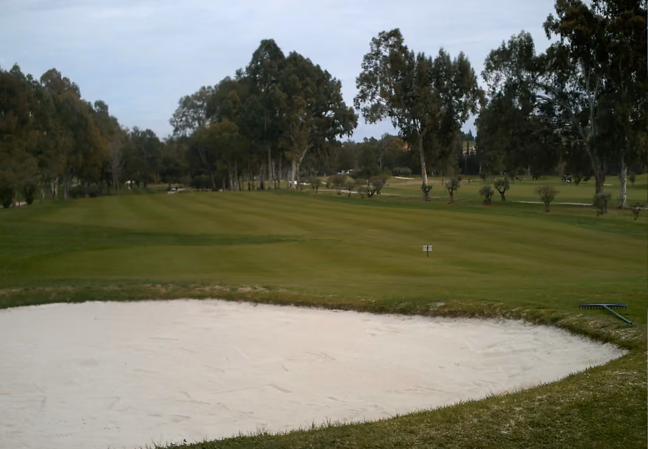 SERENE ATALAYA - PHASE 1 – zdjęcie okolicy przedstawiające fairway pola golfowego Atalaya z bunkrem piaskowym i dojrzałymi eukaliptusami, Estepona, Andaluzja