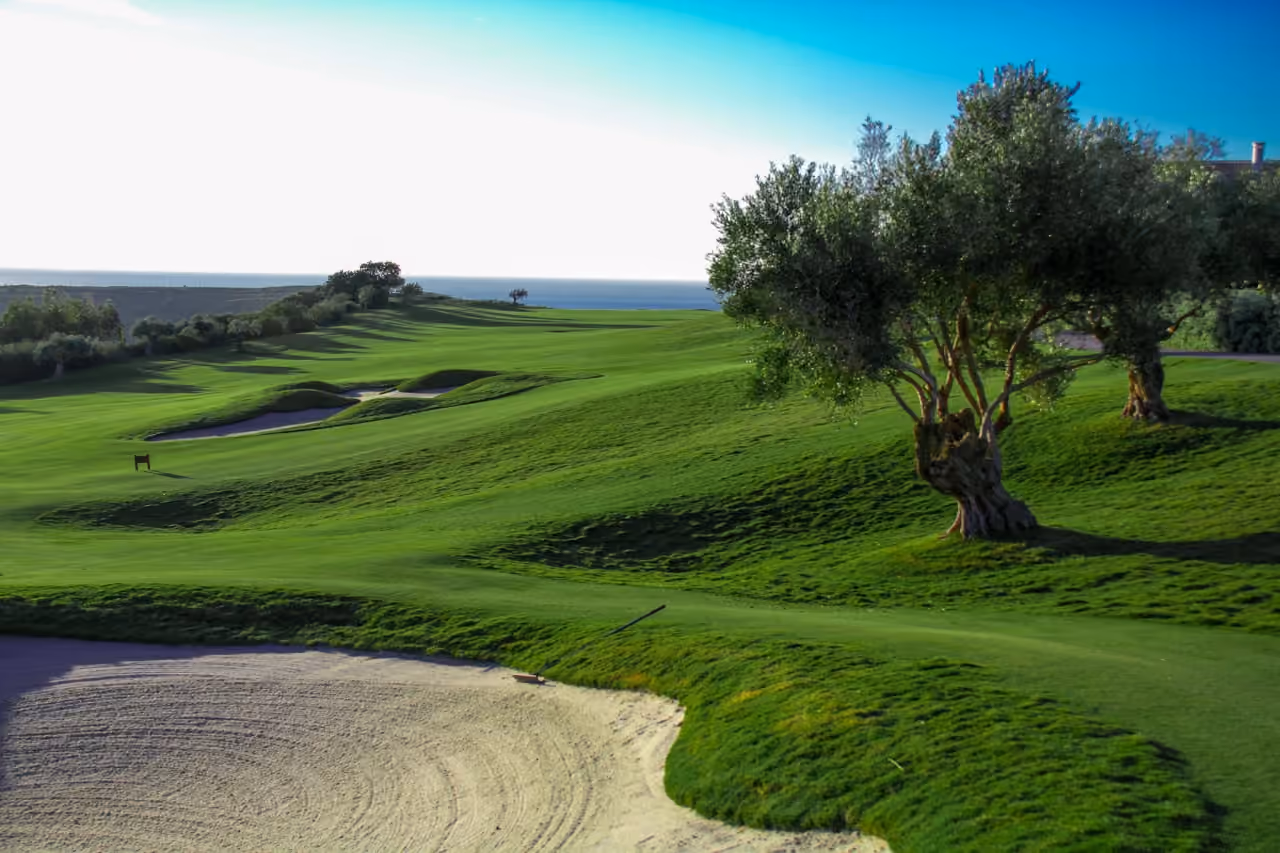 AMARANTA LIVING area photograph of a golf course fairway with sand bunkers, mature olive trees and a Mediterranean sea view near Casares, Costa del Sol