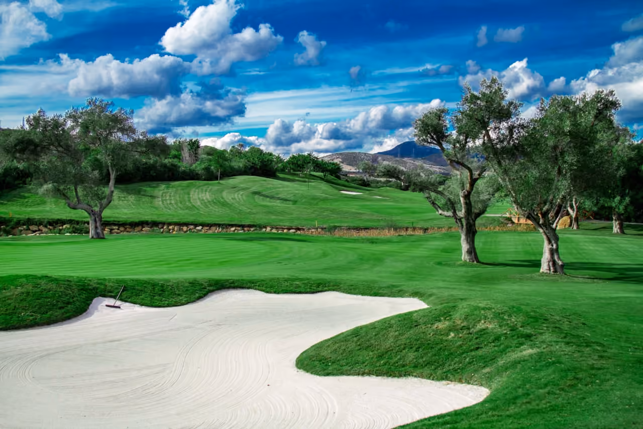Zdjęcie okolicy EAGLE HILLS przedstawiające fairway pola golfowego z piaszczystymi bunkrami, drzewami oliwnymi, falistymi wzgórzami i górskim tłem w rejonie Estepona/Costa del Sol