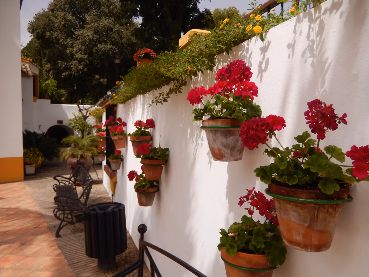 Gårdhavesti ved Jardín Botánico Molino de Inca med hvidkalkede mure og pelargonier i potter i Torremolinos, nær HABITAT ALBORÁN - BORA