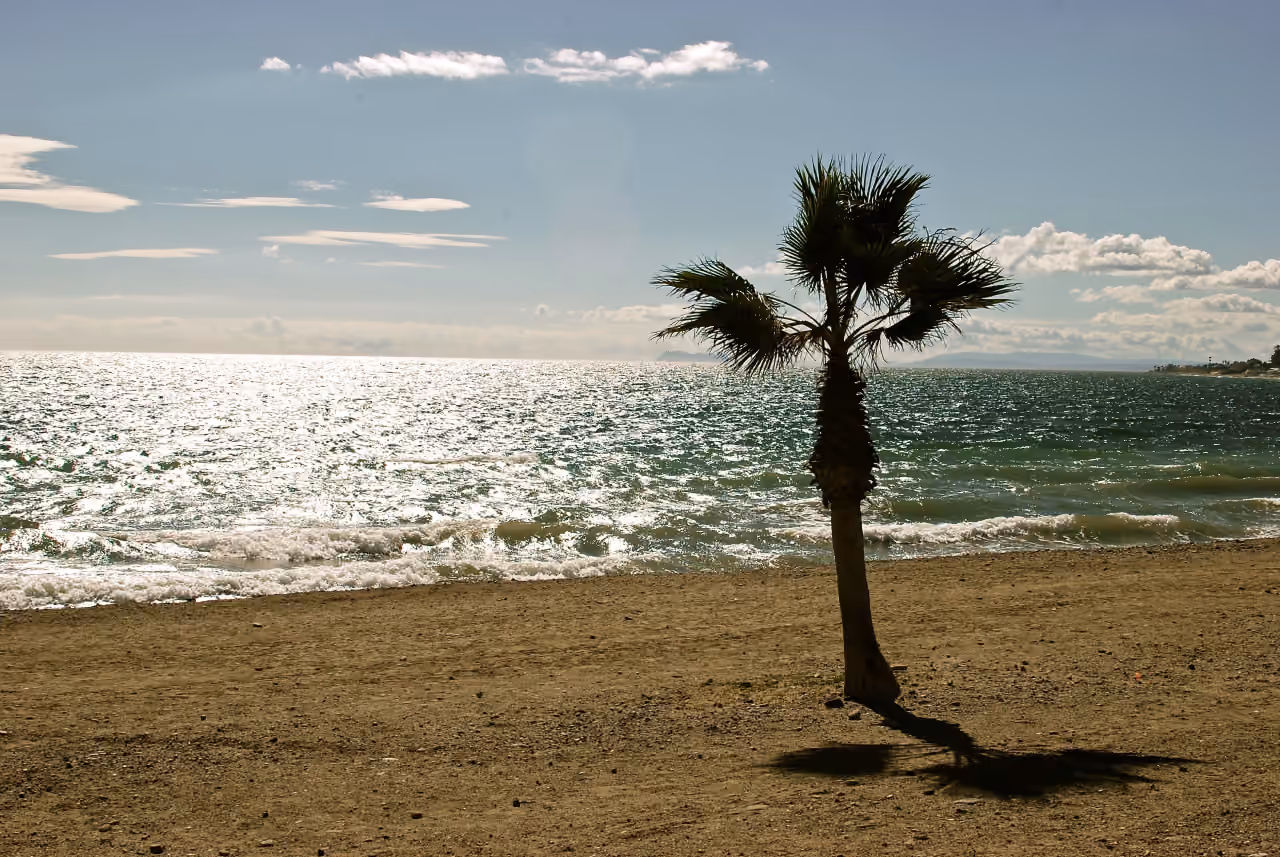 BLUME — nybygde villaer med havutsikt og store terrasser i Marbella: omgivelsesfoto gebruikt als lokale context voor Marbella; geen uitzicht vanuit het project.