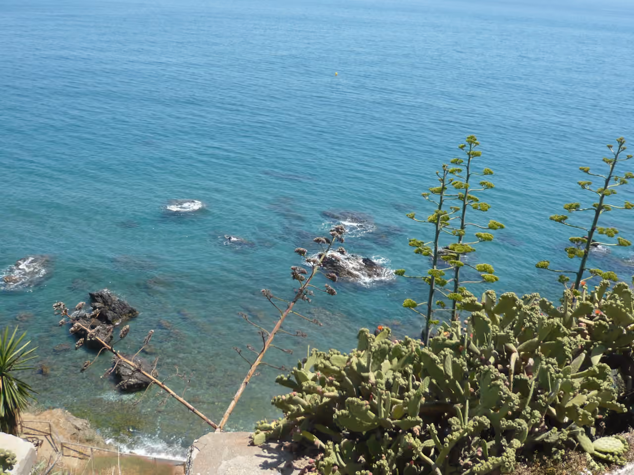 STELLA 8 area photograph of the rocky Mediterranean coastline with turquoise sea, coastal rocks, agave and prickly pear cactus in Benalmádena, Málaga, Spain