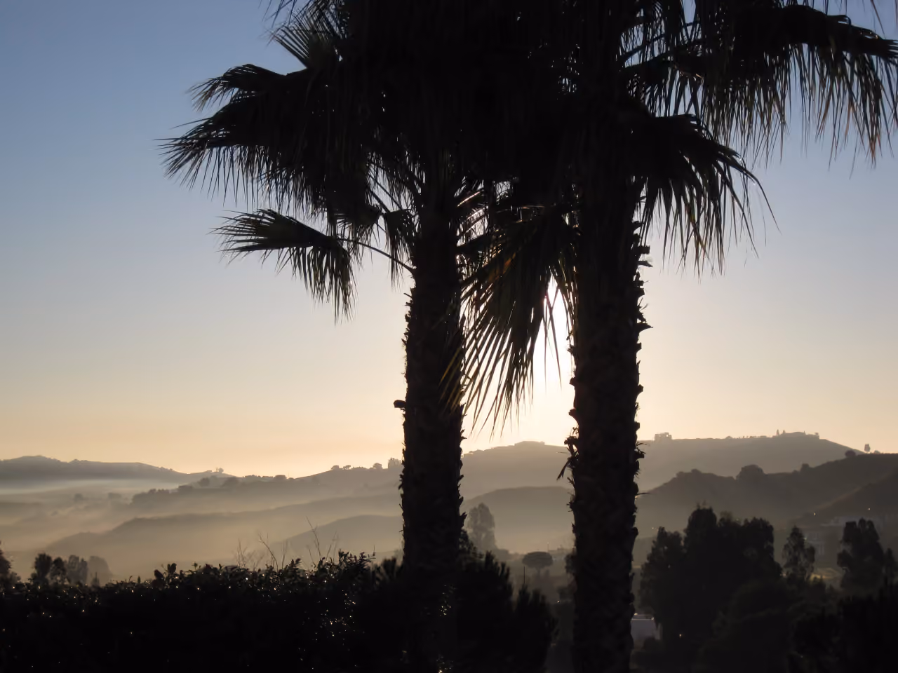 Sunrise over foggy rolling hills near La Cala de Mijas, Costa del Sol, with palm tree silhouettes in the foreground, shown as local context near VILLA AZAHAR EUROPA GOLF